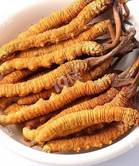 ���飺�������ʣ����������˰��