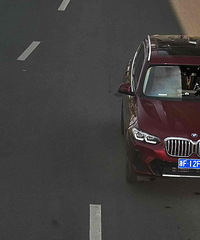 ������Щ�˿����Ӵ��ֻ�����̽ͷ�ĵ��ˣ�������ʶ����