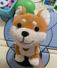 ǿ���Ƽ���ֻ����·��лᳪ���˵���Ĺ��� ���Ǽ�С��һֱ����