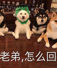 �����ܶ������� ����ֻ������hegen��ƿ �������ܱ��Ͳ���