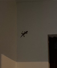 ���������ʲôС���ﶼҪ�����ˡ��������г������Ͼ������ж���