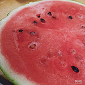 ���㣡9.9Ԫ��ģ�