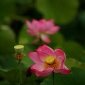 �������������