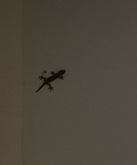 �̼���������С���ﶼ�����ˣ�