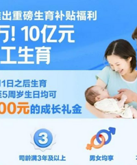 ������й�˾���������ޡ����й�˾������߽�25��