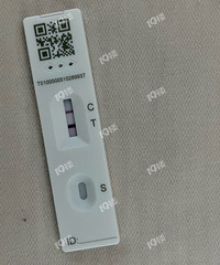 ��˭���ڻ������������Ұ���