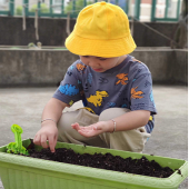 û��ѹ�� ��������