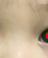 һ���������ֻ����ޣ����԰��飡