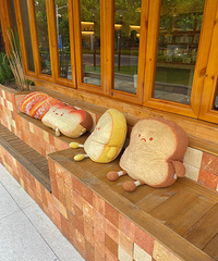 [���]�������������ȷʵ���� ����12Сʱ