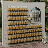 ������������ǩ����