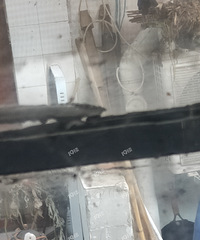 �������������������������쿪����һ�����������һֻ������