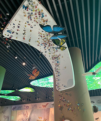 �����������޵ı��أ�7��13������è��Ҫ���������ԤԼ��