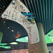 �����������޺õط�