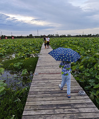 �ں���˫ɽһ����� �ں����߿�Ϧ����ĺ�����