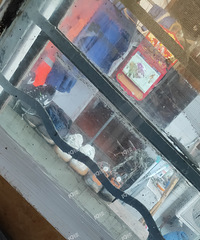 �������������״����ˣ����������ˣ���Ҳ�����ˣ�