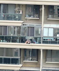 �������л�԰������������Ů��������17¥��̨�⣡��Ȱ�����ڡ�