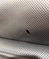 ���ﱻ��ͷ�̸����Ͳ������� �Ͻ��ٳ�����侲�侲