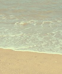 ����������ȥ�ĸ���̲���棿����ץץ�з֮���