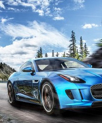 ��������or��ͨ�����䣿�󲿷��˻��Ǿ����Լ۱ȸ���Ҫ��