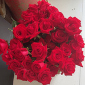 Ƣ���ܺ� ������С��