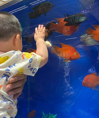 ������8���µı��������Ը�ʳ��ô�죿��ʲô�취��