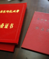 һ��6�ˣ���ͬһ��985��ѧ��ʲô���飿