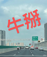 ţ�����߼��ϵ�Ħ�ѣ�