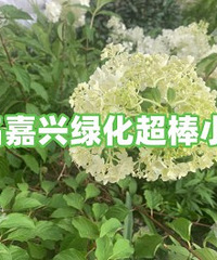 �ޣ����˾�Ȼ�и�С���̻���ô���ģ�