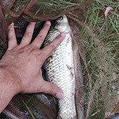 ��ϲ������Ĺ�����