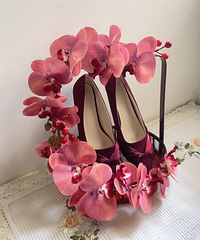 ��������Ь��diy �ÿ�����ʲôЬ�Ӷ��ܰٴ�