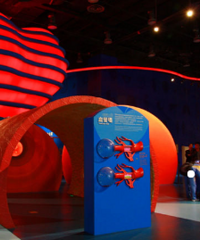 ����������ʲô�ط��ʺ�С����� ���Ƽ��˿Ƽ���