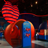 ���������ʺϺ�����