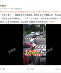 �����˺����ģ���FDL3988Ϊ�ó�����ͨ����������ƣ�