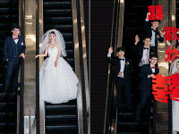 ��������µ�������8.8���Ż�