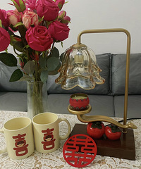 ����������ĺð� ������ȡ�Դ�ͳ�����е����ﻨ��