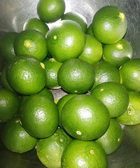 ��Ϊһ������������ ���Ƶ����С��ۿ�����ˮ��