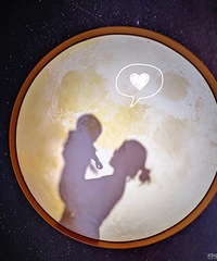 ������ǰԤԼ�����˵���è�ݿ�����������յ�����������ģ�