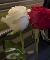 94�������� �ڴ���һ��õ�廨��ʼ