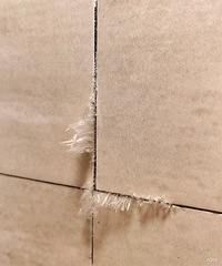 ����ɶ���Ⱑ������ԡ��ש����ƾ�ճ�����ë����������������