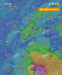 С�Ŷ��㽭Ӱ�첻�� ����ĵ�6��̨�翨Ŭ���ǻ��ְ���