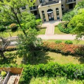 ��԰�����㣡