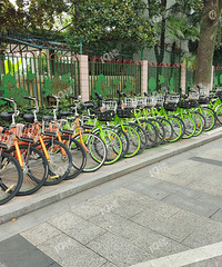 ���ڹ����綯����ô���� ��ҪͶ��ô���µĹ������г��б�Ҫ��