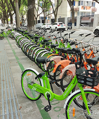 ���ڹ����綯����ô���� ��ҪͶ��ô���µĹ������г��б�Ҫ��