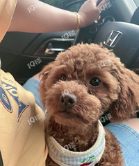 Ѱ�����������������и���Ĺ���  �ҵ����ֽ��л��