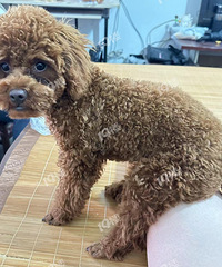 Ѱ�����������������и���Ĺ���  �ҵ����ֽ��л��