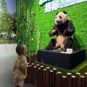 ��è�ݿ����ˣ�