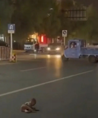 ������˼����ҹ�Ѽ����´��Ӥ��������·�м� ������������