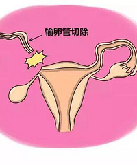 ���������е�9�󳣼����� ���������𣿲��ò����裡