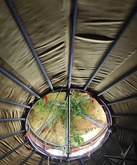 ڻûţһסũɹŰһؼҡ