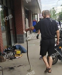 ���������������˴ӵ�ƿ����ק����һ�����ϳ�һ�������ˣ�